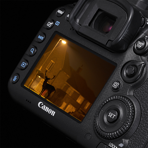 Detalii în fotografiile realizate în condiţii de lumină redusă