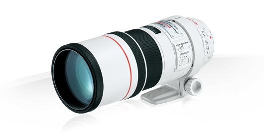 EF 300mm f/4L IS USM