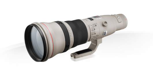 EF 800mm f/5.6L IS USM